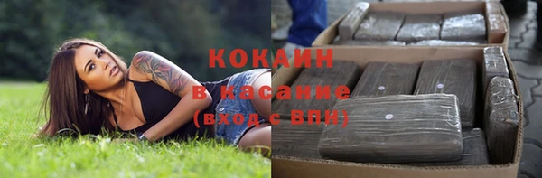 индика Верея