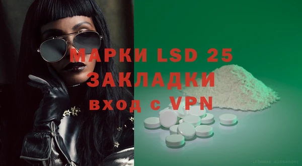 индика Верея