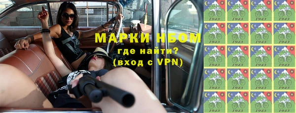 индика Верея