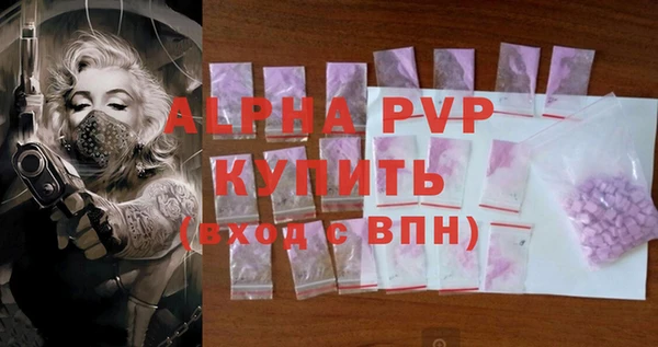 индика Верея