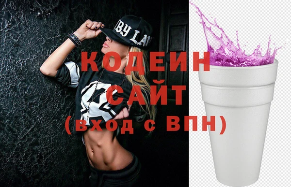 индика Верея
