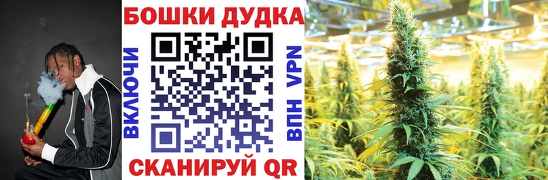Бошки Шишки ГИДРОПОН  Гаврилов Посад 